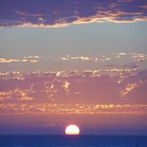 Meet your Posher, Sherry